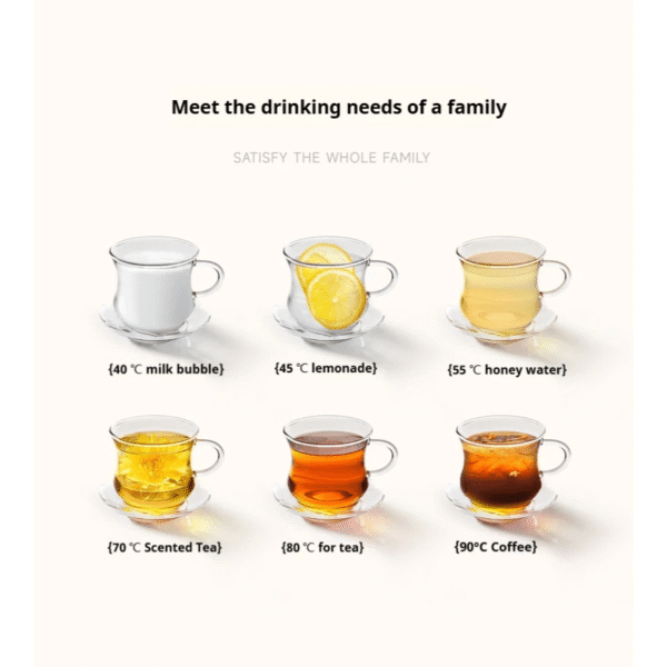 3L German Electric Kettle